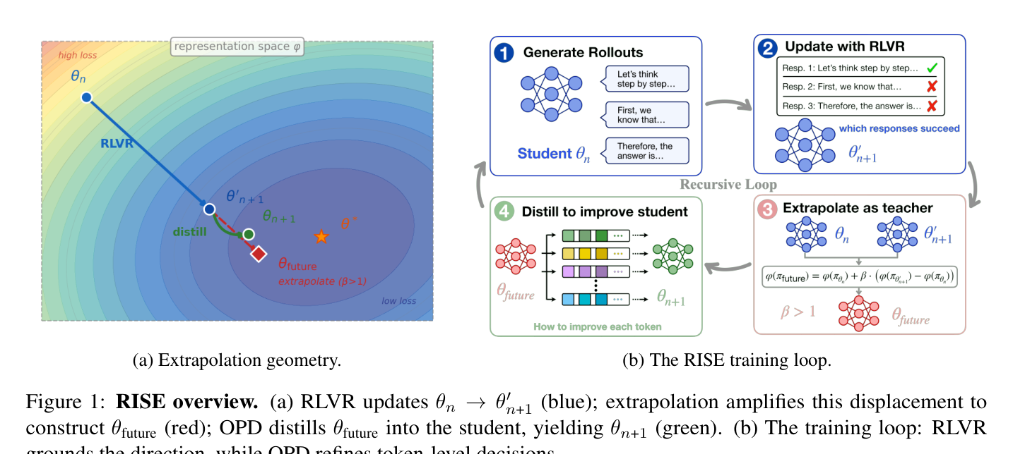 Figure 1: RISE 개요 — RLVR 업데이트를 외삽해 θ_future를 만들고 OPD로 되돌리는 루프